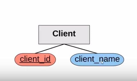 Client Entity